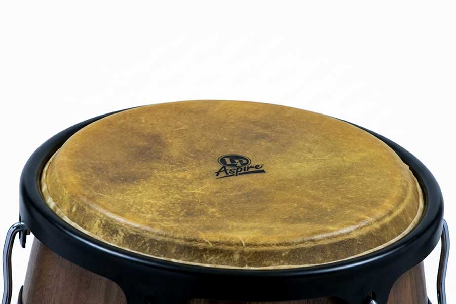 LP Aspire 11-inch